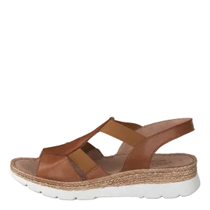 483-2786 Cognac