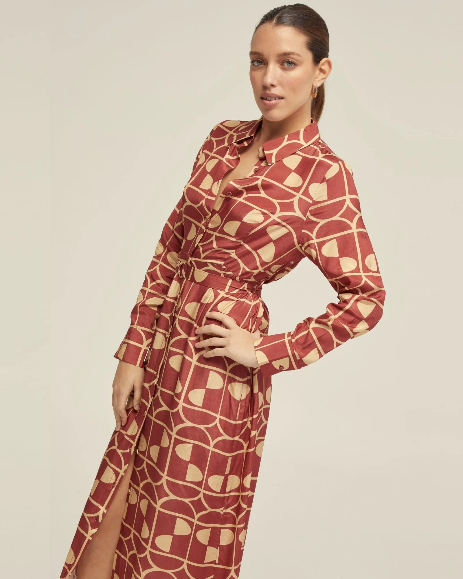 Dianne Geo Print Shirt Dress
